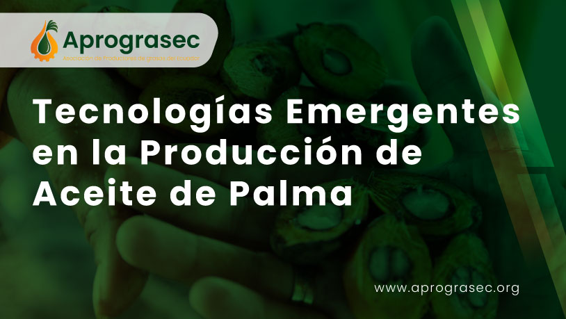 Tecnologías Emergentes en la Producción de Aceite de Palma